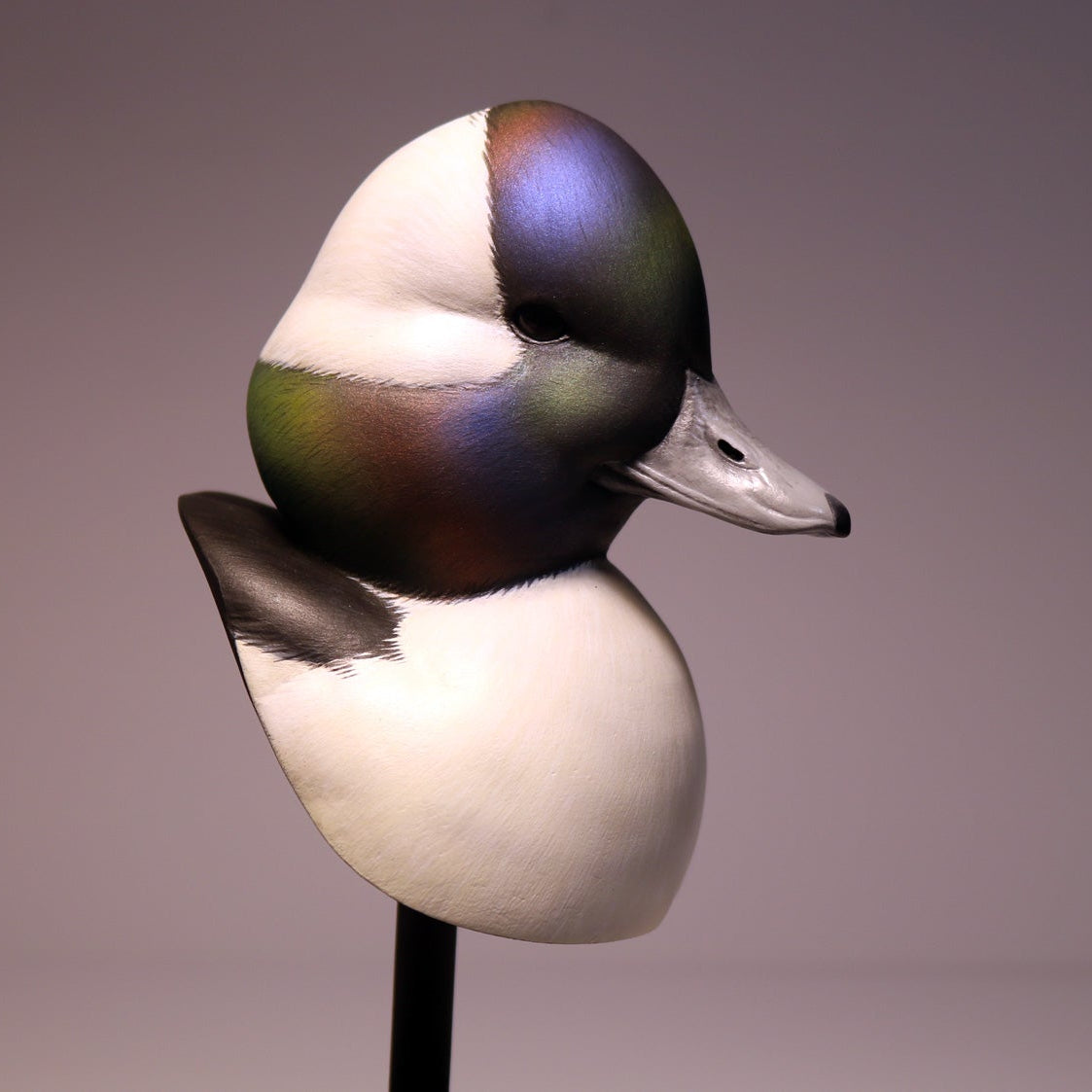 Bufflehead Drake Bust Carving Pattern, Life-size (download)