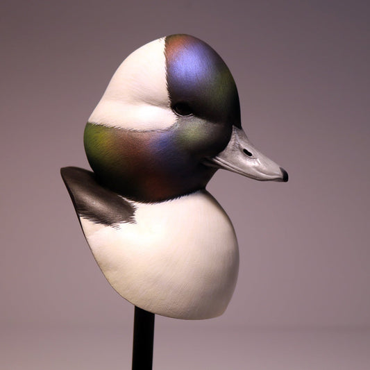 Bufflehead Drake Bust Carving Pattern, Life-size (download)