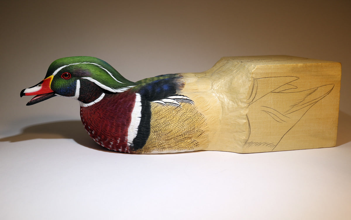 Wood Duck Drake Emerging From A Block of Wood Carving Pattern, Life-size (download)