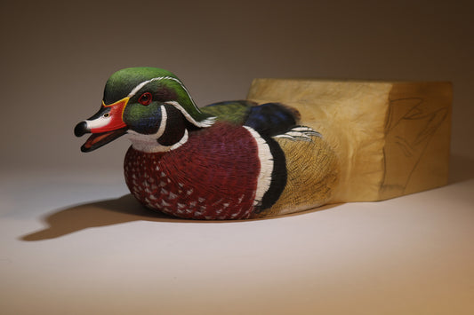 Wood Duck Drake Emerging From A Block of Wood Carving Pattern, Life-size (download)