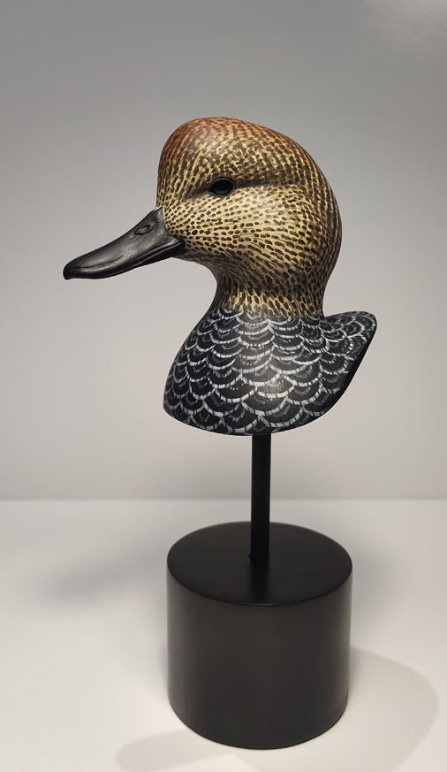 Gadwall Drake Bust Carving Pattern, Life-size (download)