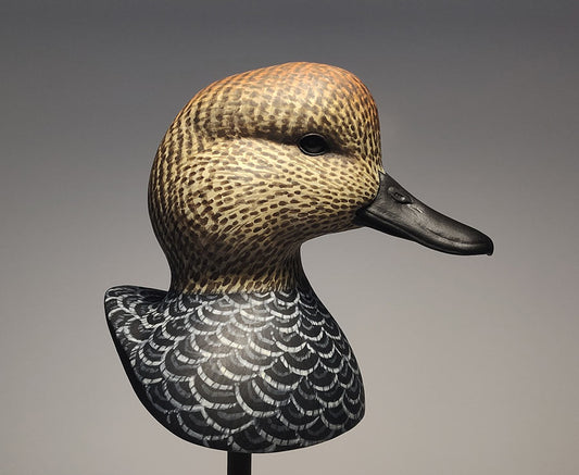 Gadwall Drake Bust Carving Pattern, Life-size (download)