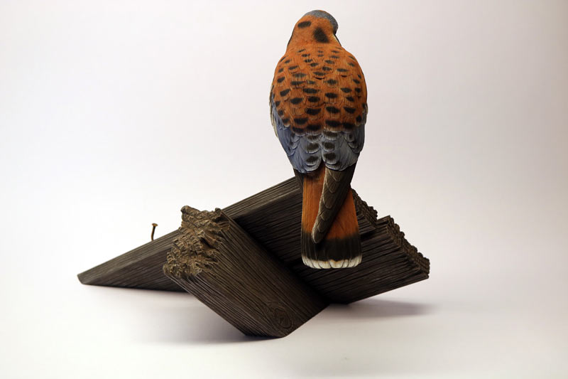 American Kestrel Carving Pattern, Life-size (download)