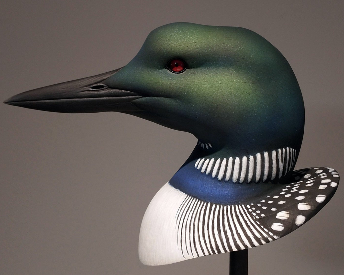 Common Loon Bust Carving Pattern, Life-size (download)