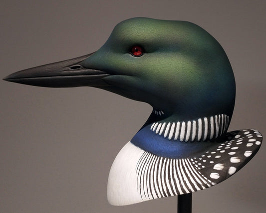 Common Loon Bust Carving Pattern, Life-size (download)