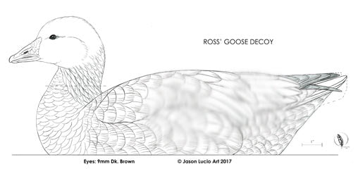 Ross' Goose Carving Pattern, Life-size (download)