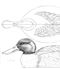 duck decoy carving pattern