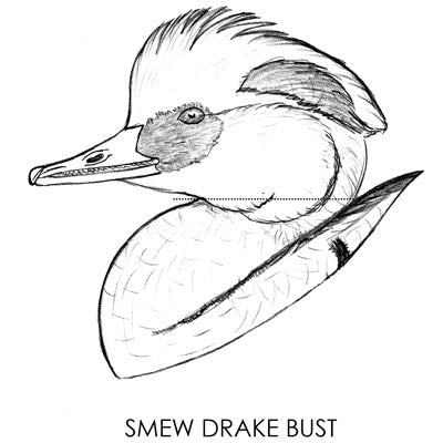Smew Drake Bust Carving Pattern, Life-size (download)