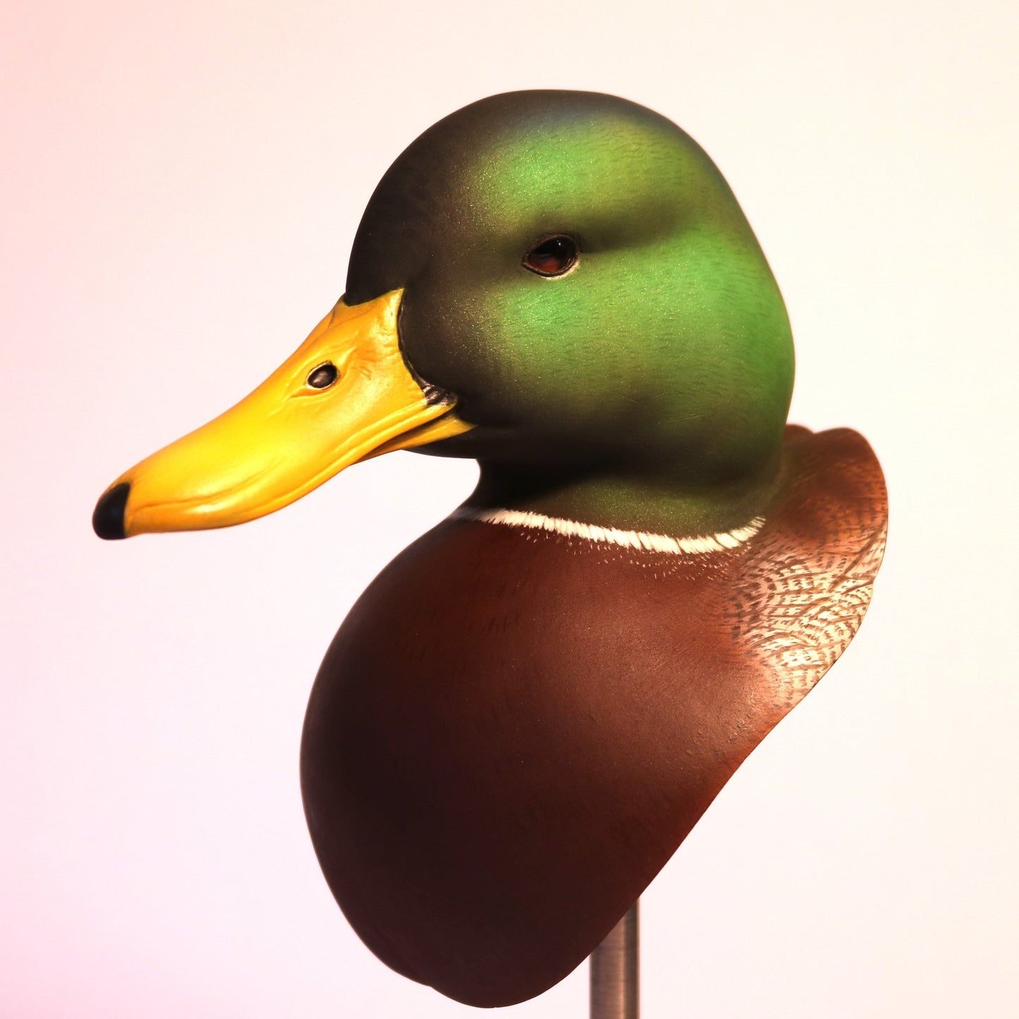 Mallard Drake Bust Carving Pattern, Life-size (download)