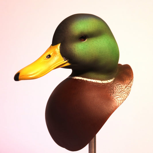 Mallard Drake Bust Carving Pattern, Life-size (download)
